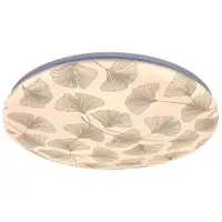 RABALUX Benita, LED plafonjera, 24W 1200lm 3000K, 38cm