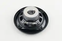 Pioneer TS-G1030F 10cm