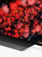 LG OLED55C9PLA