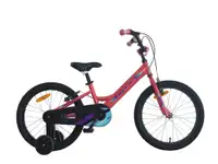 20 CROSS DAISY 2022 / Pink