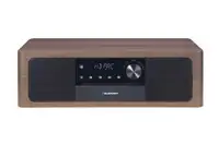 BLAUPUNKT MS22BT