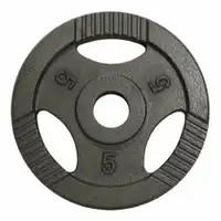 GORILLA SPORTS Teg od livenog gvozdja 5 kg (50 mm u sivoj boji)
