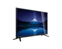 GRUNDIG 43 MLE 4820 BN