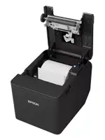 EPSON TM-T20IV-101