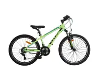 24 CROSS BOXER 2022 / Green