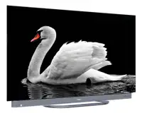 HAIER H65C95EUX OLED