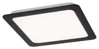 RABALUX Shaun2 plafonjera 6W 4000K crna cetvrtasta
