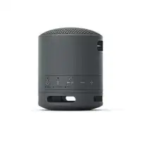 SONY SRSXB100B.CE7 crna