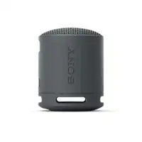 SONY SRSXB100B.CE7 crna
