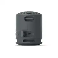 SONY SRSXB100B.CE7 crna