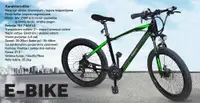 X WAVE E-bike