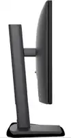 DELL P2426HE
