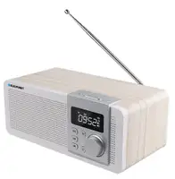 BLAUPUNKT PP14BT
