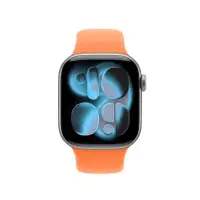 APPLE Watch 42mm Band: Clementine Sport Band - S/M (SEASONAL) mhyd4zm/a