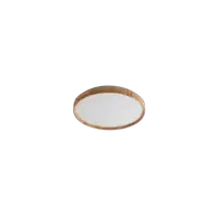RABALUX Leana2 plafonjera LED24W D38 5cm
