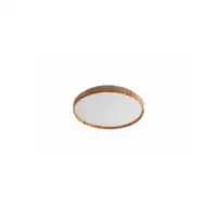 RABALUX Leana2 plafonjera LED24W D38 5cm