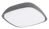 RABALUX Austin spoljna plafonjera LED 20W sivo IP65