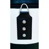 RING RS DZ120BW