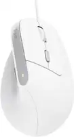 TRUST BAYO II ERGONOMIC Beli Mis