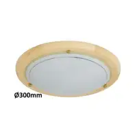 RABALUX Fa Ufo plafonjera D30 E27 60W nature opal