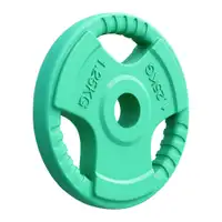 GORILLA SPORTS Gumirani teg (1,25 kg / Svetlozeleni)