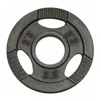 GORILLA SPORTS Teg od livenog gvozdja 2,5 kg (50 mm u sivoj boji)