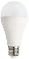 RABALUX SMD LED sijalica, belo, metal+plastika, E27 A65, 2450