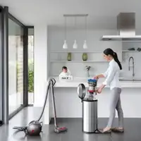 DYSON Big Ball Absolute 2