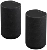 SONY SARS5.CEL
