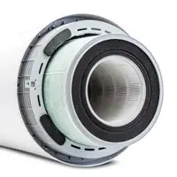 ZEPTER THERAPYAIR® SMART FILTER TAS-100-01