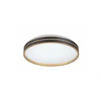 RABALUX Gandor,LED plafonjera 24W, 1850lm, CCT 3000-6500K, 39cm, daljinski, dimabilna, metal crna/zlatna