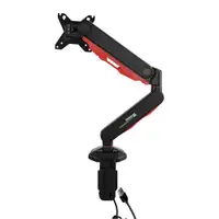 IIYAMA DSG3001C-R1