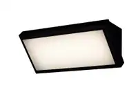 RABALUX Rapla spoljna zidna lampa: 1000lm