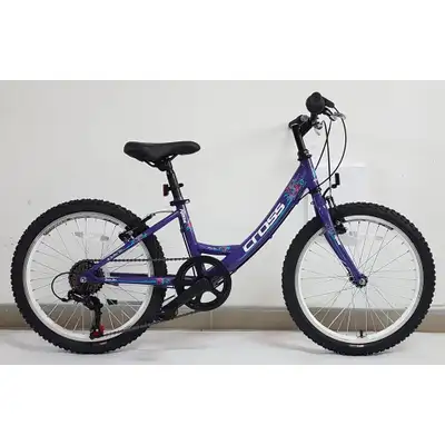 20" CROSS ALISSA Purple 2022