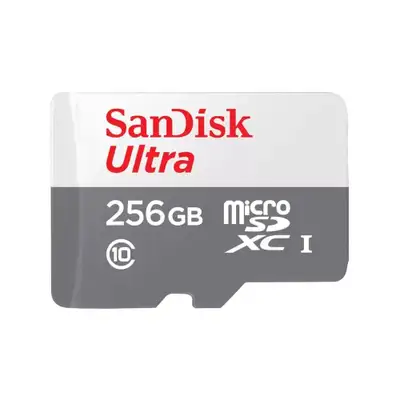 SANDISK SDXC 256GB Ultra Micro 100MB / Class 10 / UHS-I SDSQUNR-256G-GN3MN