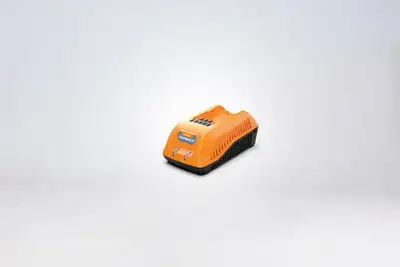 VILLAGER ZEN punjac 40V 2A