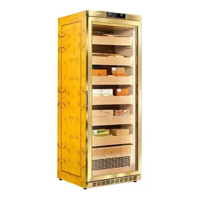 RACHING RMON2800AG
