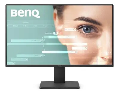 BENQ GW2491