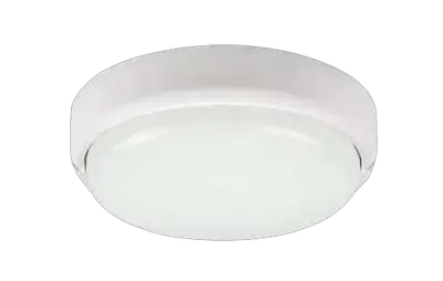 RABALUX Hort spoljna zidna ili plafonska LED lampa: 15W 1300lm 4000K