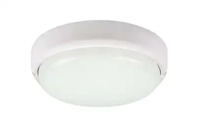 RABALUX Hort spoljna zidna ili plafonska LED lampa: 15W 1300lm 4000K