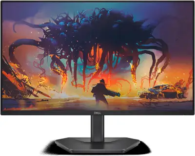DELL SE2425HG