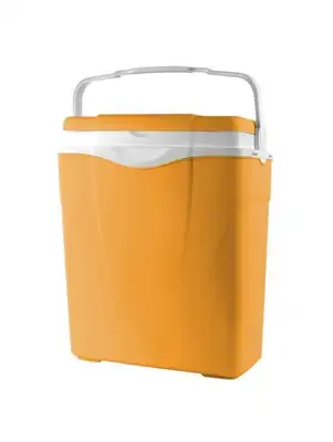 ANTARCTICA 12L  Marigold