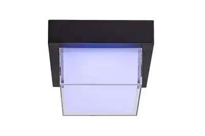 RABALUX Durbe SMART RGB spoljna zidna ili plafonska lampa 10W 3000K-6500K WI-FI Bluetooth 2