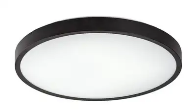 RABALUX Alenzo, LED plafonjera sa daljinskim, dimabilna, 24W, 3000-6000K, 35.5cm, IP44, crna