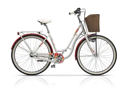 28" CROSS PICNIC CTB 450mm 2021
