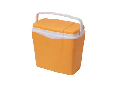 ANTARCTICA 24L Marigold
