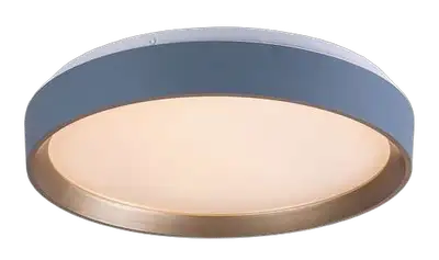RABALUX Liatris2 plafonjera LED24W D38 5cm