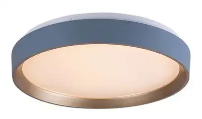 RABALUX Liatris2 plafonjera LED24W D38 5cm