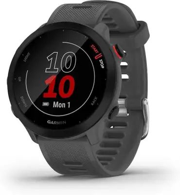 GARMIN Forerunner 55 Monterra Grey