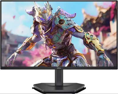 DELL SE2426HG